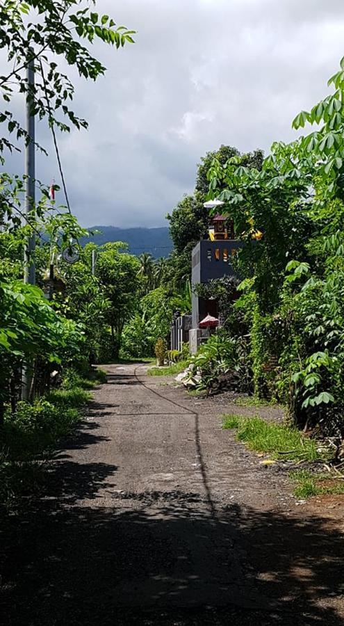 Отель Mias Jungle House Ловина Экстерьер фото