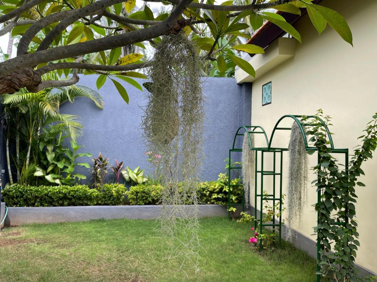 Отель Mias Jungle House Ловина Экстерьер фото