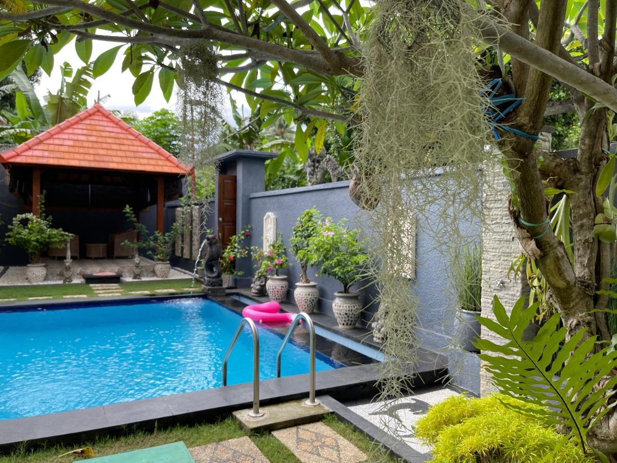Отель Mias Jungle House Ловина Экстерьер фото